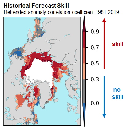 sea ice outlook historical skill